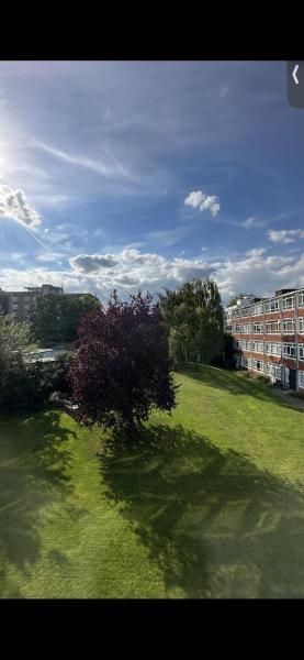 Leafy sanctuary in Putney